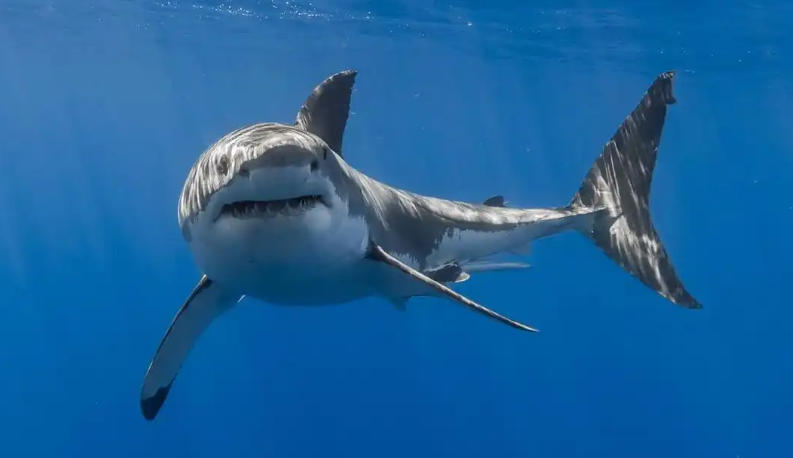 城阳租车 城阳汽车租赁 中心轮播图2